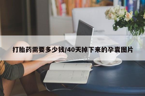 打胎药在线付款打胎药需要多少钱/40天掉下来的孕囊图片